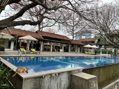 -喜洲吧·江畔老船厂·庭院餐厅(喜临院店)
