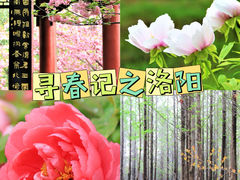 -洛阳市隋唐城遗址植物园