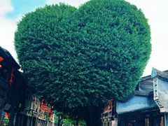 -三坊七巷历史文化街区