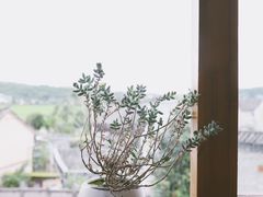 -YLK云南小粒咖啡·云里咖(二号店)