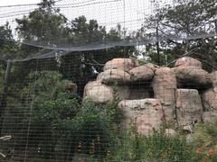 -圣地亚哥动物园