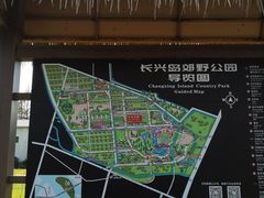 -上海长兴岛郊野公园