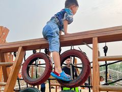 -大兴滨河森林公园