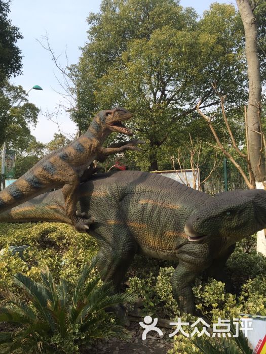 上海顾村恐龙园图片 - 第703张