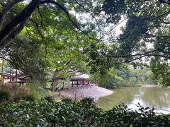 -屯门公园