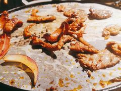 -胖记烤肉(湖大店)