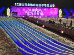 -沈阳奥体冰雪嘉年华