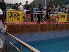 -东湖欢乐水世界