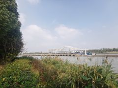 -澹台湖公园
