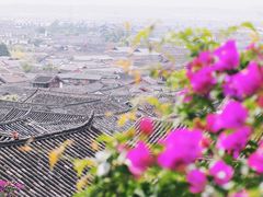 -丽江花间堂·隐泉院