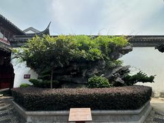 -檀园