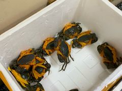 -面道赞宁海海鲜面(迎凤街店)