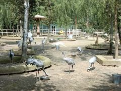 -哈尔滨北方森林动物园