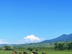 -新疆那拉提国家旅游度假区