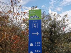-四明山国家森林公园