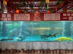 -年辉渔村·非遗传承餐厅(新丰江店)