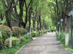 -金银湖国家城市湿地公园