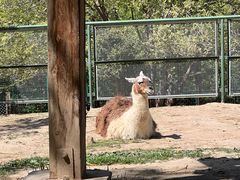 -青藏高原野生动物园