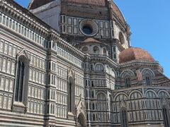 -圣母百花大教堂穹顶