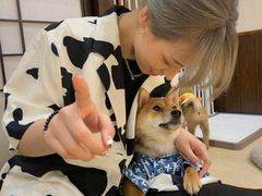 -逗柴咖啡屋·狗咖猫咖宠物桌游