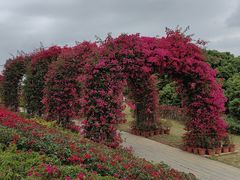 -东莞植物园