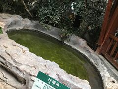 -龙达温泉生态城