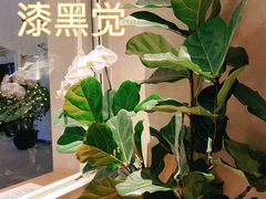 -漆黑觉米粉(三里屯店)