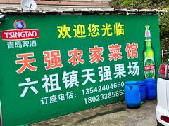 -天强农家菜馆