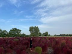 -汉长安城未央宫国家考古遗址公园