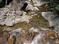 -白云源风景区