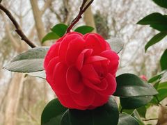 -南京市江宁方山