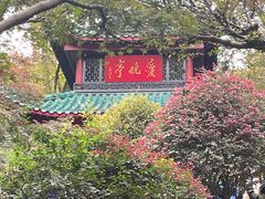 -岳麓山风景名胜区