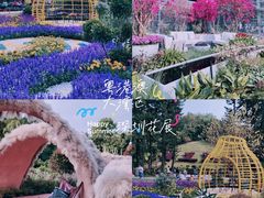 -深圳仙湖植物园