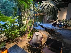 -J Create城市露营咖啡·简餐·宠物(上海动物园店)