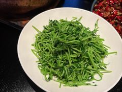 -纯阳•六两酒馆
