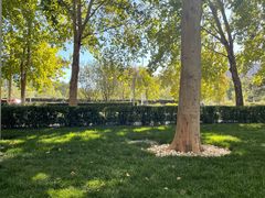 -Mesa Madre梅萨妈妈·Bintana(国贸店)