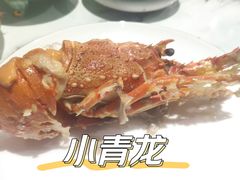 小青龙-海友荟•鲸彩(济宁爱琴海店)