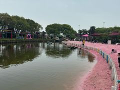 -苏州太湖西山岛开心农场
