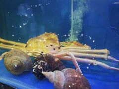-震海贝烤贝·民俗特色店(延吉总店)
