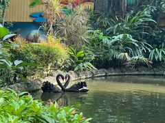 -广州长隆国际大马戏