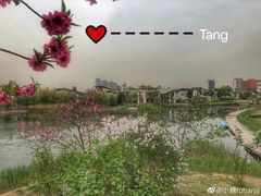 -天津东丽湖风景区