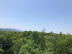 -苏州太湖国家湿地公园
