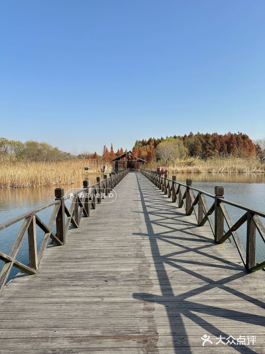 溱湖国家湿地公园图片