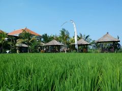-Bebek Joni Restaurant
