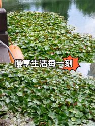 -青岛妇女儿童医院(辽阳西路院区)