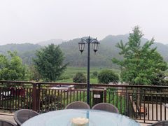 -听风阁农家私房菜茶楼(龙坞店)