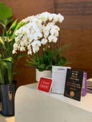 -洁铭新加坡医美