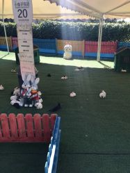 -萌宠亲子动物乐园(槐房万达店)