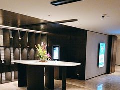 -新加坡乌节希尔顿酒店 (SG Clean)