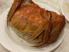 -新光酒家方亮蟹宴(黄浦店)